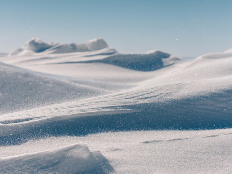 Lire la suite à propos de l’article Business Enhancement Plans & Growth Strategy